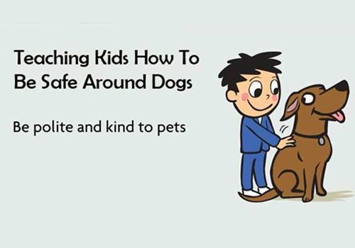Teach Your Kids To Respect Dogs